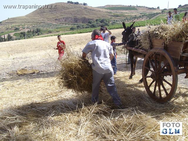 IMGP3937_scarico_delle_gregne_dal_carro_all_aia.JPG